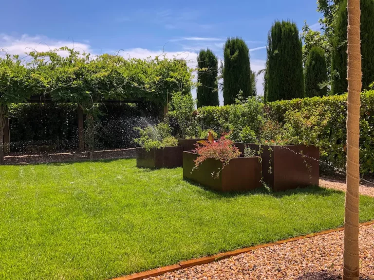 photo d'une pelouse avec des pots de fleurs après les travaux