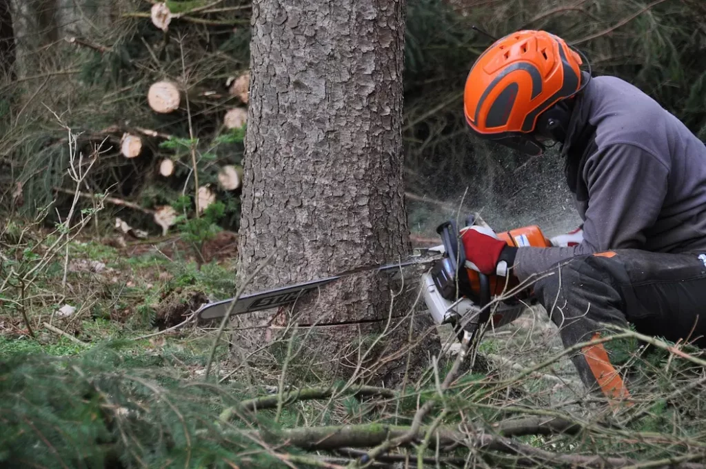 Un homme qui abat un arbre avec une tronçonneuse